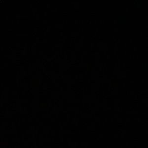 Meet your Posher, Kaela